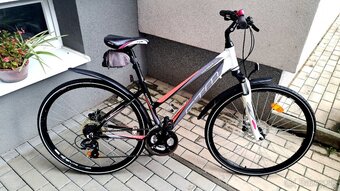 CTM MAXIMA 4.0. - 3