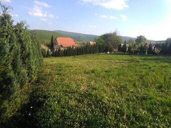 Čistenie a úpravy pozemkov - 3