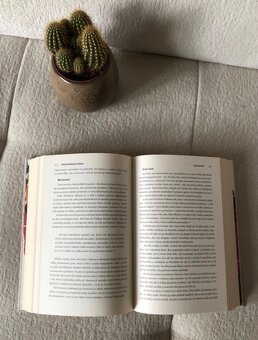 Nová kniha David Brooks Spoločenské zviera, 11.80 E - 3