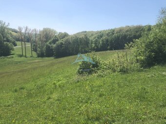 Pekný pozemok (3,2ha) na Hrušove okres Veľký Krtíš. - 3
