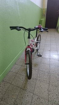 Dievčansky bicykel DENBIKE 20 - 3