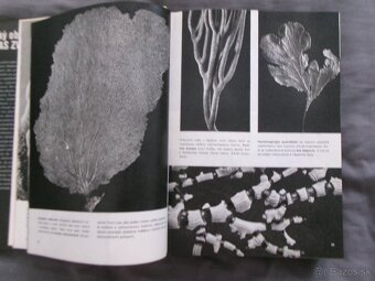 Veľký obrazový atlas zvierat - Václav Jan Staněk. - 3