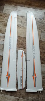 Solius multiplex - 3