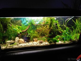 Akvarium 160 litrov - 3