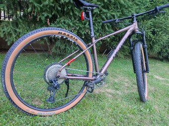 DEMA ENERGY Team 29 bicykel, dark brown/black - 3