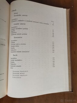 Dejiny výtvarného umenia na Slovensku - 3