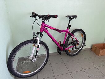 damsky / dievcensky kellys - 3