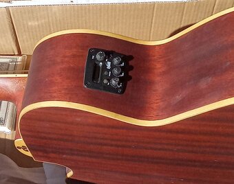 El. akustická basgitara LUNA - 3