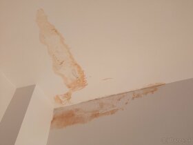 Maľovanie - Vymaľujem byty rýchlo a pekne - 3
