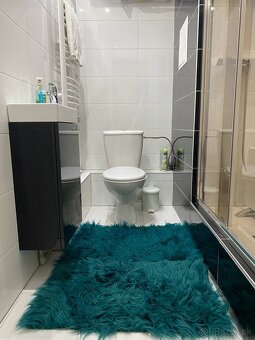 Nebytový priestor po rekonštrukcii 23m2 DS - 3