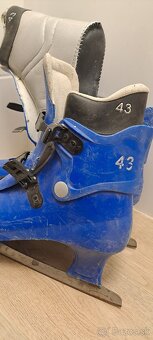 Predam korčule velkost 43 - 3