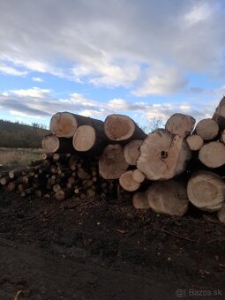Predám palivové drevo - 3