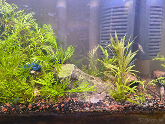 Akvárium Optiwhite sklo 20l - 3