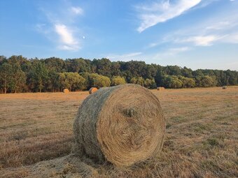 Kosenie, mulčovanie, hrabanie, balíkovanie - 3