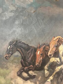 Čikoš so stádom koní - 3