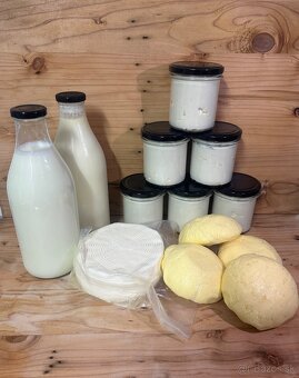 Jersey A2A2 mliečko 🥛 - 3