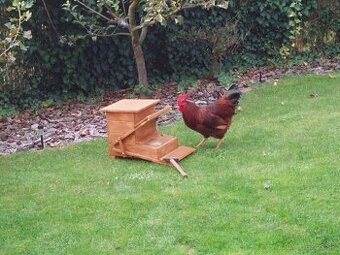 Našlapné krmítko pre sliepky - 3