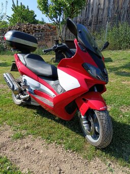 Gilera nexus 500 - 3