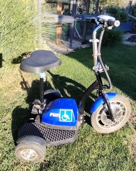 Runner 800 Plus Elektrická trojkolka - 3