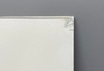 Vtáčik na papyruse - 3