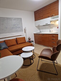 Utulny 1-izb byt blizko centra - 3