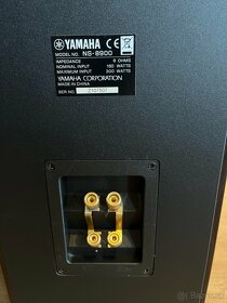 Yamaha NS-8900, YST-FSW100 - 3