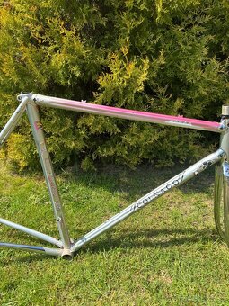 Colnago Arabesque Regal - 3
