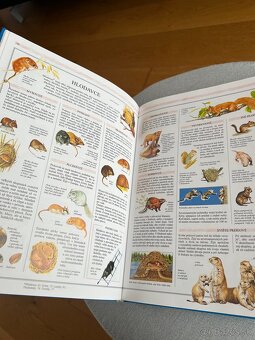 Ilustrovaná encyklopédia - 3