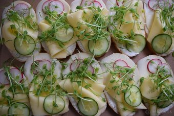 Studené misy, jednohubky,kanapky - 3