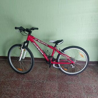 Bicykel Author 24 - 3
