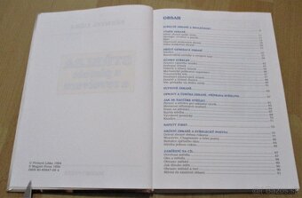 Střelba z pistole a revolveru - 3