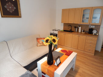 Garsónka do prenájmu Nitra Chrenová prerobená - 3