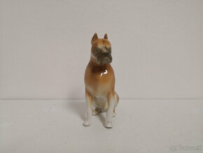 Porcelánová soška psa boxer Royal Dux - 3
