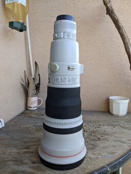 Canon 600mm mark II - 3