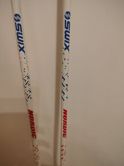 Palice na bežkovanie - 3