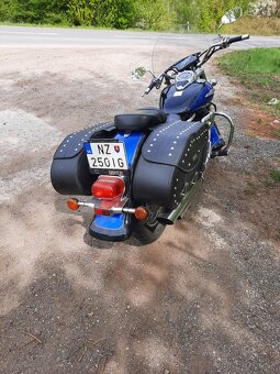 Suzuki intruder VL800 - 3