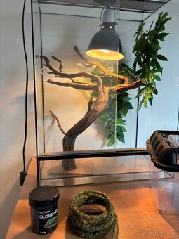 Terárium pre plazy (chameleón) - 3