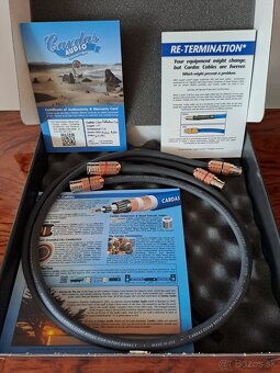 Cardas Clear Reflection XLR 1m - 3