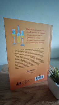 Predám knihu VILA V TALIANSKU - 3