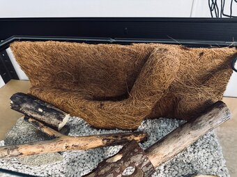 predam terarium - 3