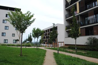 Prenajmem veľký1,5izbový slnečný byt, Bory1, nemocnica 3 min - 3