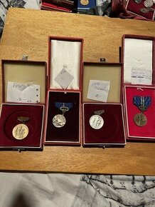 Vojenske odznaky 16 (Medajle) - 3