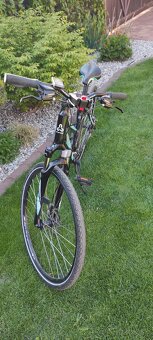Damsky bicykel CTM MAXIMA 2.0 - 3