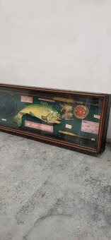 Rybárske dioramy. - 3