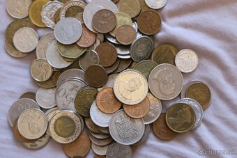 Mince mix Afrika - 3