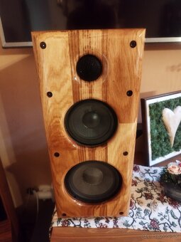 Predám DIY troj pásové reproduktory. - 3