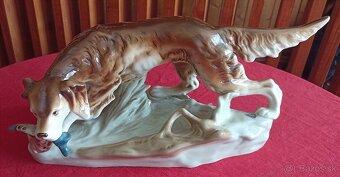 Royal dux - polovnicky pes - 3