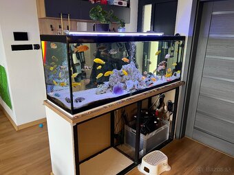 Predam akvarium - 3