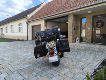 Suzuki VL 1500 Intruder - 3