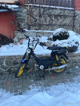 Predám Manet Korado - 3